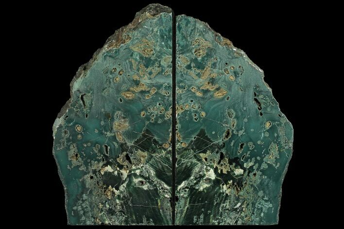 Green Jasper Replaced Petrified Wood Bookends - Oregon #111094